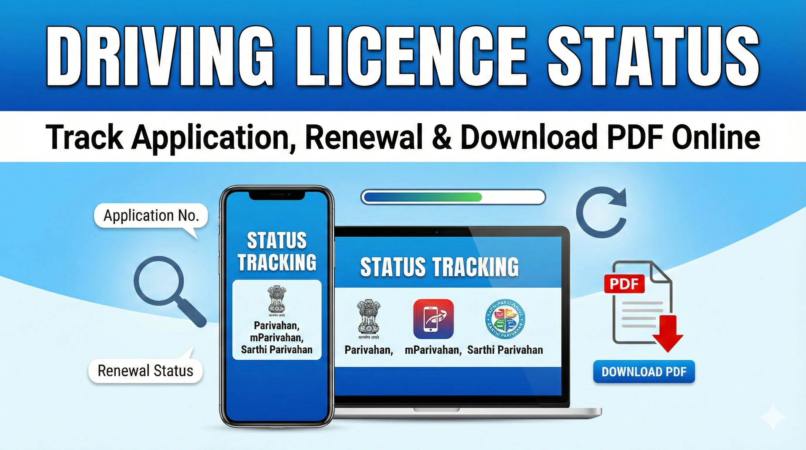 Check driving licence status